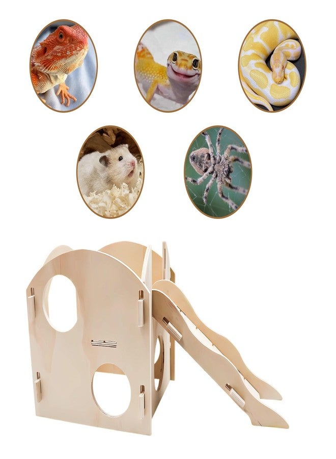 MHLLGN Bearded Dragon Tank Accessories, Wooden Playground Decor Hide for Enclosures Aquariums for Reptiles Spider Gecko Snake, Bearded Dragon Basking Platform - Image 3